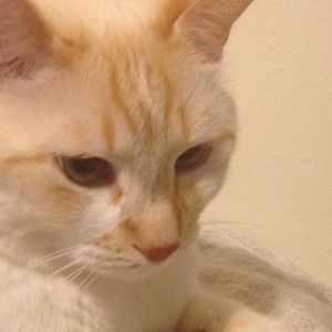 Meet your Posher, Kelly